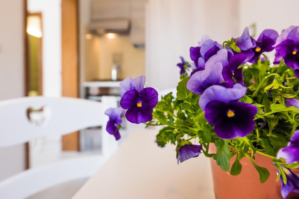 Vila Mare Relax Lido Marini Pokoj fotografie
